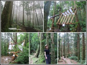 東眼山打卡新亮點森林裡的木構裝置藝術｜漫步杉林間享受芬多精