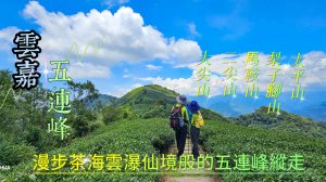 【雲嘉五連峰】漫步茶海雲瀑仙境般的五連峰縱走，雲嘉版抹茶山