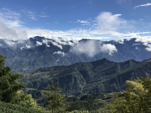 迷路原來為看花—溪頭鳳凰林道