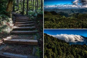 【桃園復興】秋陽下森林尋幽．東眼山連走親子峰步道