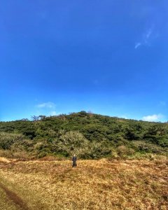 向天山、向面山步道