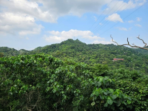 微笑山線-清水大尖山、二尖山