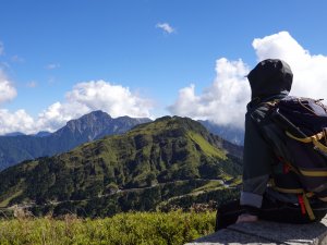 中部抹版茶山?!合歡南峰連走合歡主峰步道