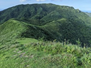 一路與山/海/龜山島相伴的雪山尾稜南段健走