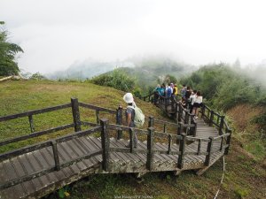 《嘉義》觀雲瀑｜隙頂二延平步道