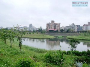 【台北市】康樂山-明舉山(柿子山)-內溝溪生態步道-樂活公園