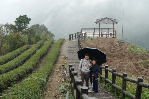 南山寺觀景台