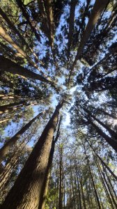 菜鳥二訪兒玉_東水_特富野古道