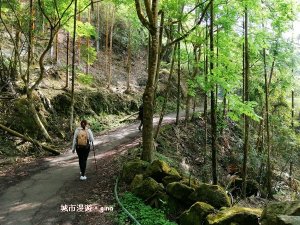 台南白河~台南第一高峰。 #63小百岳~關仔嶺大凍山