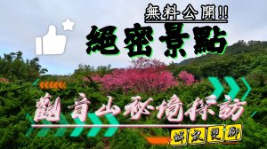 健行觀音山絕秘境景點連發探訪偶遇神秘嘉賓👍