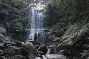 在雲霧和森林之中漫步 像精靈般存在於熊空中的雲森瀑布