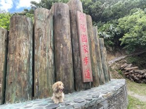 南澳「龜山」朝陽國家步道