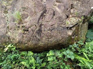 2-1 景美仙跡岩步道