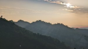 「帶刺的花瓣」~三花縱走(花瓣山北峰.主峰.南峰)-  台南楠西.麻竹湖出鐵谷山宮(南瀛百岳.三腳南山系之南二段)
