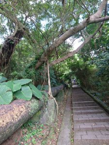 天母水管路步道(天母古道)