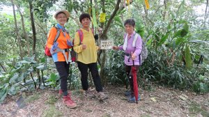 縱走中和外挖子山、烘爐地登山步道、觀山亭、牛伯伯蝴蝶生態園