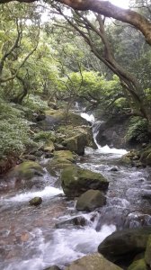 菜公坑古道, 大屯溪古道, 小觀音山