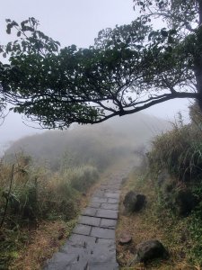 七星山群峰（七星山西、南、主、北、東峰）