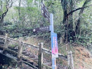 20241215 桃源谷步道（內寮線）