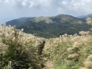 【肉腳練功記 No.5】大屯山連峰縱走