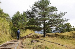 【南投】鹿林、麟趾、鹿林前山