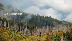 【宜蘭】加羅岔路：加羅山