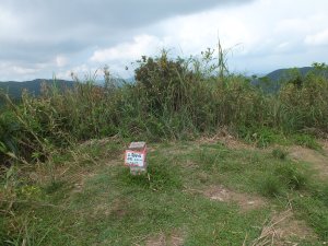 雙溪區竿蓁坑古道(竿蓁坑山)+三方向山+三方向山古道+竿蓁坑溪畔古道O型