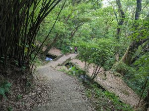 冷門的鵝尾山步道＋熱門的坪頂古圳親山步道