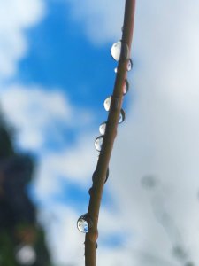 三貂嶺瀑布百大任務解鎖