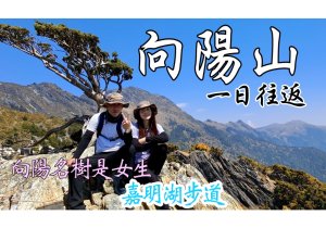 向陽山單攻/現場快速申請入山入園證教學/向陽名樹是母的|向陽大崩壁|向陽派出所/嘉明湖國家步道/南橫公路/向陽國家森林遊樂區