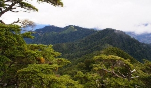 白姑大山中峰