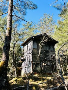 2026_0313花蓮高嶺瞭望台