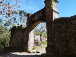 [新竹尖石][二]八五山、李棟山(李崠山)、大混山、牛欄坑山