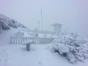【新聞】2千公尺高山可能下雪 天冷勿因怕地震住戶外