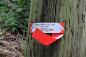 台北天際線泰山段