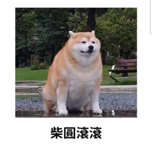 庭瑜 的頭像