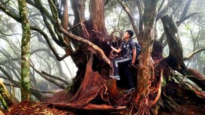 【中級山縱走】高島縱走（高台山，小島田山，中島田山，大島田山）