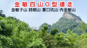 【金敏四山】金詩塞內O型連走 岩稜、大岩壁、竹林 獨特景觀 遇見東方蜂｜田代氏鼠尾草
