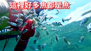 鼻頭角日出、秘境步道、浮潛餵魚