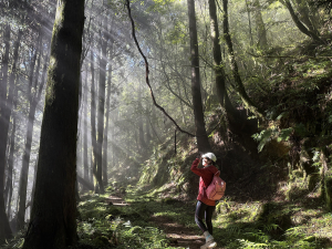 被時光凍結的世外桃源──白雪村