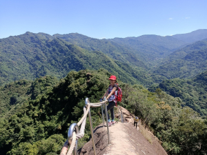 北部三大岩場之一，手腳並用，既拉繩又攀岩#五寮尖登山步道