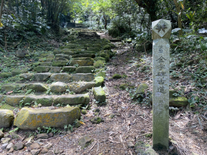 【淘金越野 20K 練跑體驗】瑞猴自行車道×大粗坑步道×金字碑古道｜陪跑練習日記