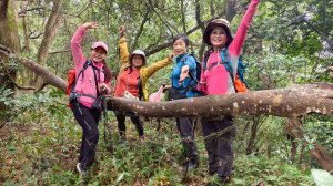關西大東坑山/草長難過  順訪東安古橋
