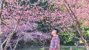 【台灣健行】春艷 • 寶山二集團