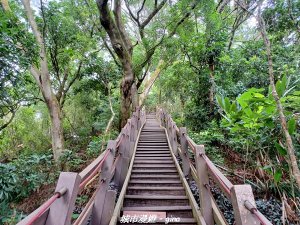 【台中潭子】風和日麗健行趣。 新田登山步道x聚興山