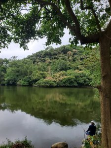 蓮華山古道群，飛龍步道，五分埔山，採茶古道，飛龍池，載熙古道O走