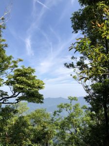 志繼山-東眼山-東滿步道