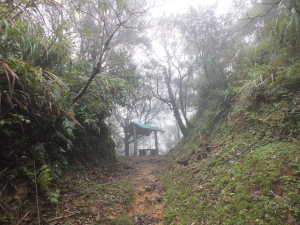 瑞芳區樹梅坪古道+百二崁古道+地質公園步道P字走