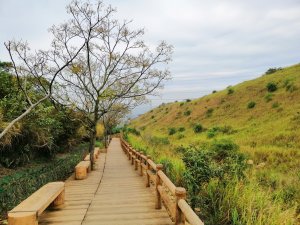 【台中。龍井】親子適宜健行步道。 竹坑南寮登山步道