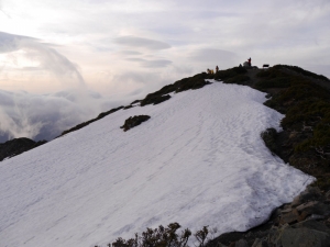 外籍山友對於台灣新登山條例和台灣山岳登山國際化的建議